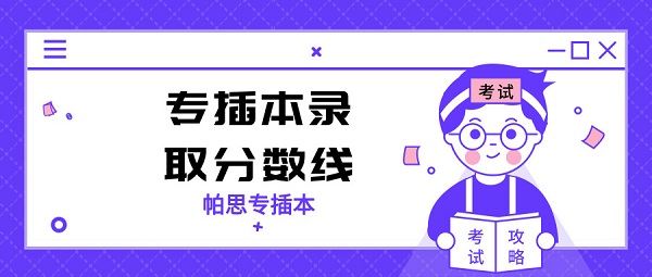 专插本录取分数线