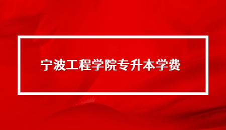 2022年宁波工程学院专升本学费多少钱？