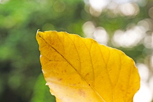 复习衢州师范大学行知学院衢州专升本，应该怎样度过迷茫期？