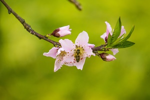 统招绍兴专升本英语语法知识点，不会学习应该怎样从零开始？