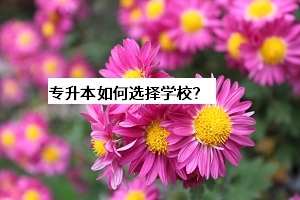 普通宁波专升本考生应该怎样选择学校？主要考虑哪些重要因素？