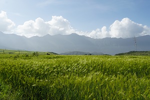 提高舟山专升本成绩的小诀窍，建议收藏！