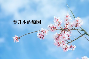 为什么要金华专升本？升本后能带来什么益处？