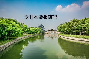 温州专升本要报班吗