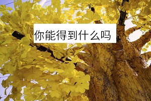 普通舟山专升本的利弊，你知道吗？