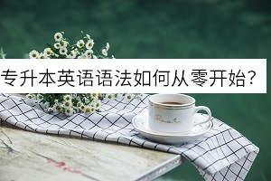 统招宁波专升本英语语法知识点，不会学习应该怎样从零开始？