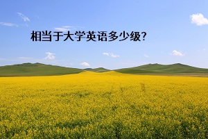 杭州专升本英语容易吗？相当于大学英语多少级？